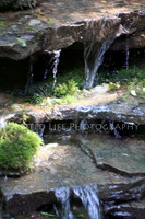 Landscapes